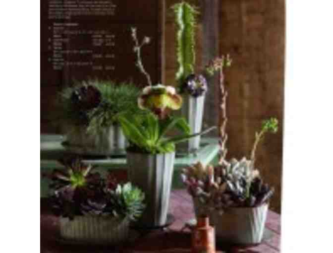 Sun Valley Garden Center Gift Certificate - $25