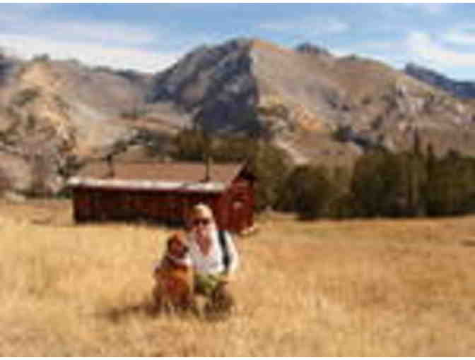 Hound Around -One 2 hour hike and 45 minute canine massage for your Precious Pooch