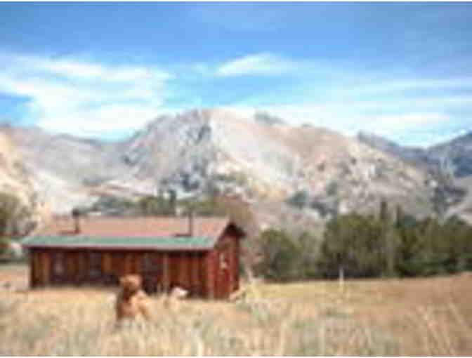 Hound Around -One 2 hour hike and 45 minute canine massage for your Precious Pooch