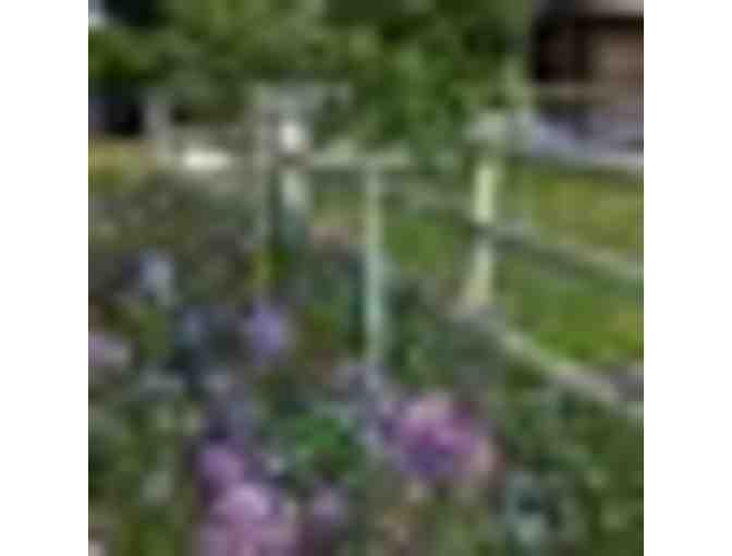 Two Night Stay in Charming Guest Cabin - Bellevue, ID