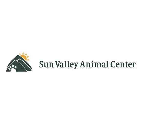 Doggie Daycare at Sun Valley Animal Center (5 Days)