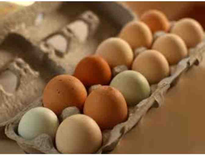 A Dozen Eggs from The New Village School Chickens - Photo 1
