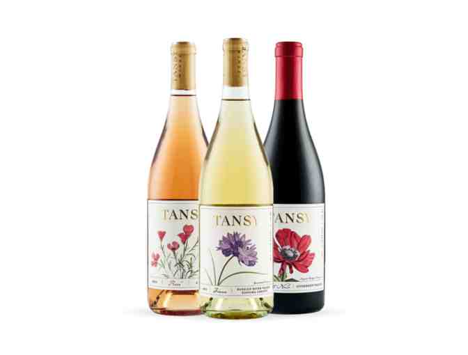 Tansy Wines, 3 Limited Production Bottles - Photo 1
