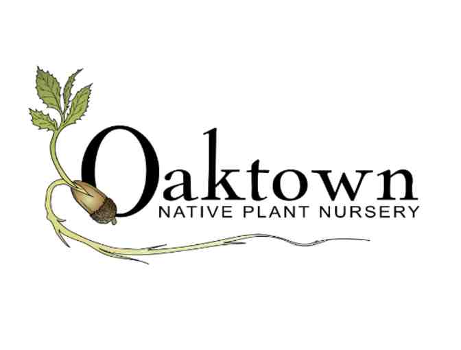 Oaktown Native Plant Nursery Gift Certificate - Photo 2