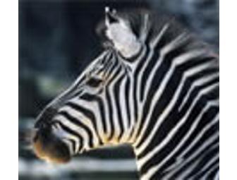 Fort Worth Zoo Tickets