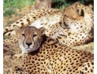 Fort Worth Zoo Tickets