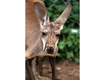 Fort Worth Zoo Tickets