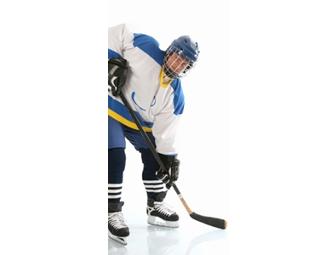 Ice at The Parks Skating