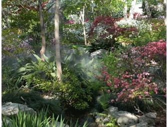 Four Passes to the Dallas Arboretum