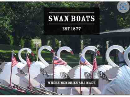 Swan Boats - Boston MA
