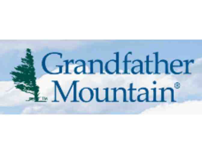 Grandfather Mountain - Linville NC - Photo 4