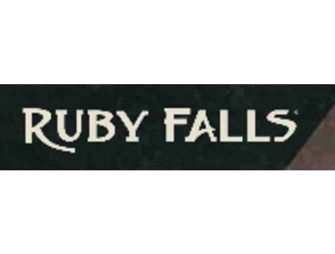 Ruby Falls - Chattanooga TN - Photo 4