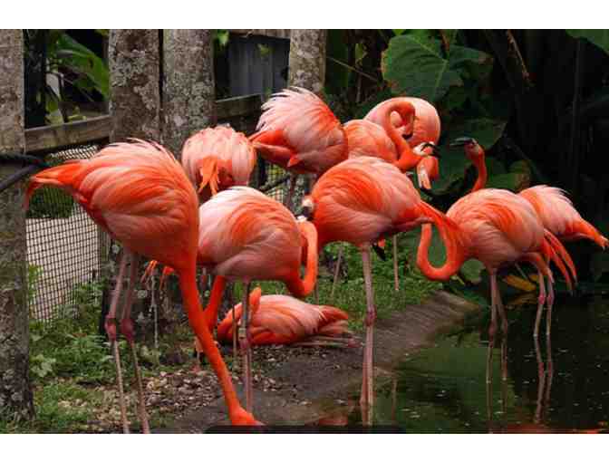 Flamingo Gardens - Davie FL - Photo 2