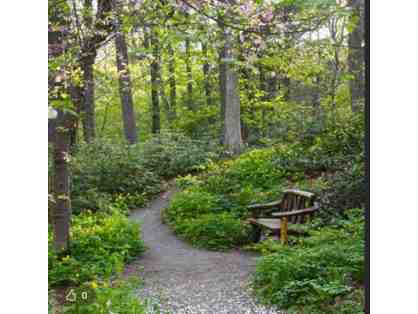 Garden in the Woods - Framingham MA
