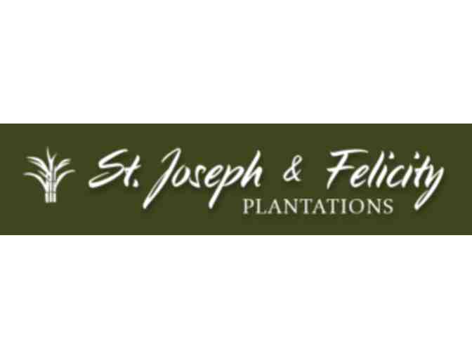 St Joseph's Plantation - LA - Photo 3