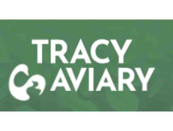 Tracy Aviary - UT - Photo 3