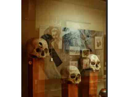 International Museum of Surgical Science - IL