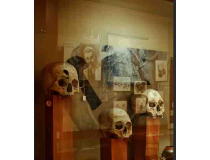 International Museum of Surgical Science - IL - Photo 1