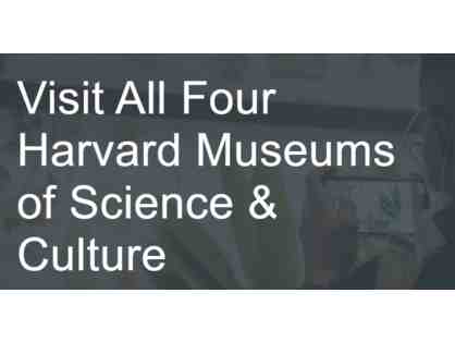 Harvard Museums of Science and Culture