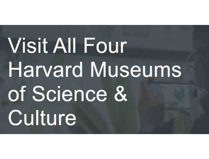 Harvard Museums of Science and Culture - Photo 1