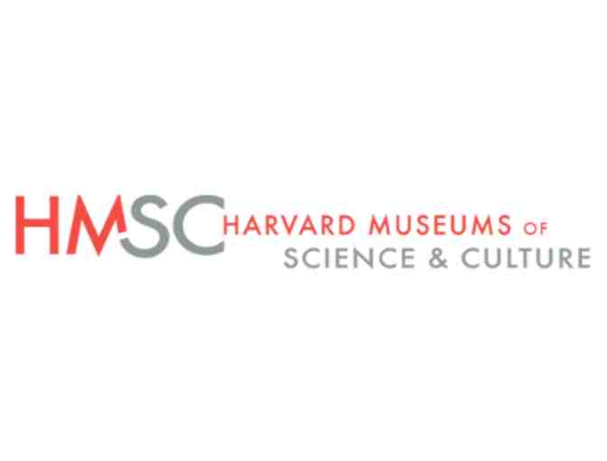 Harvard Museums of Science and Culture - Photo 2