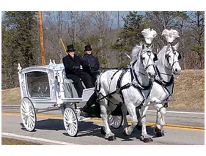 Bee Tree Trails Carriage Ride In Shartlesville