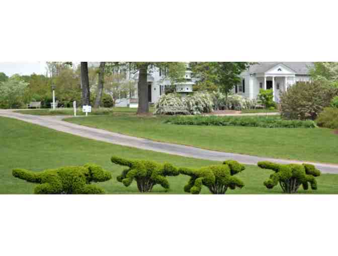 Ladew Topiary Gardens MD - Photo 2