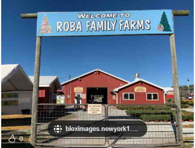 Roba Family farms - - Photo 1