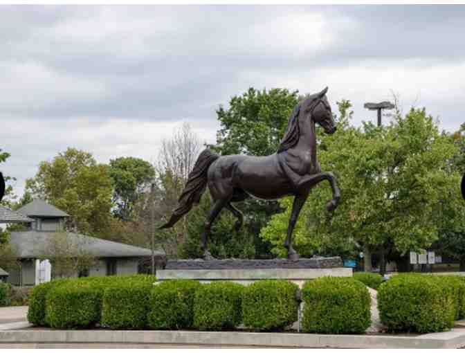 TP 3 Nights in Kentucky with Horse Farm Tour! - KY - Photo 3