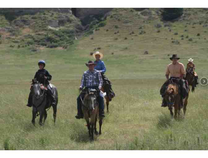 TP Stay at Working Cattle Ranch for 4 Guest - NE - Photo 8