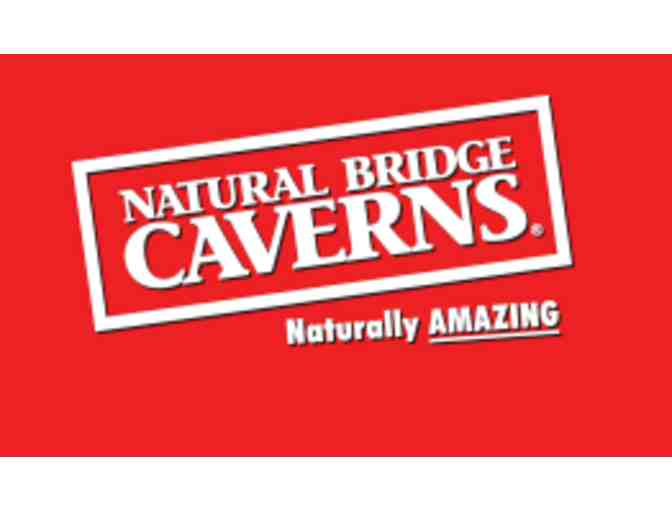 Natural Bridge Caverns - San Antonia TX - Photo 5