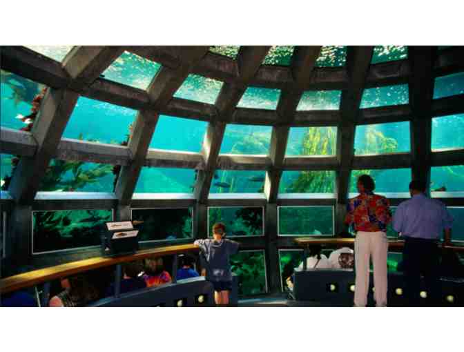 Seattle Aquarium - Seattle WA - Photo 2