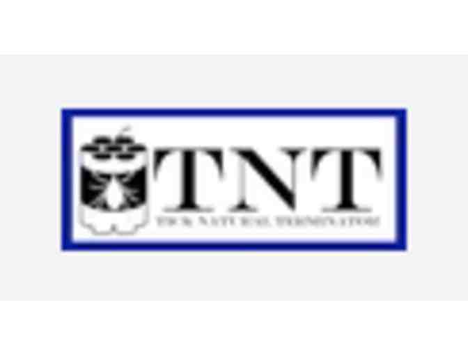 TNT Tick Powder - NY - Photo 3