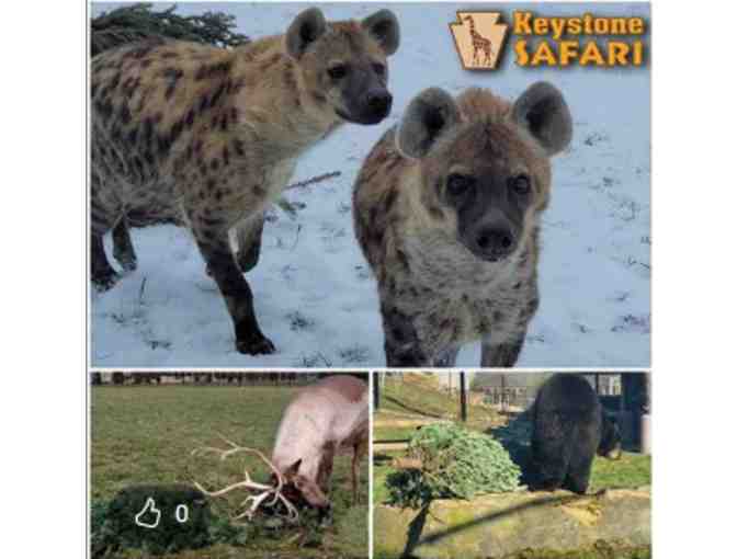 Keystone Safari - PA - Photo 3