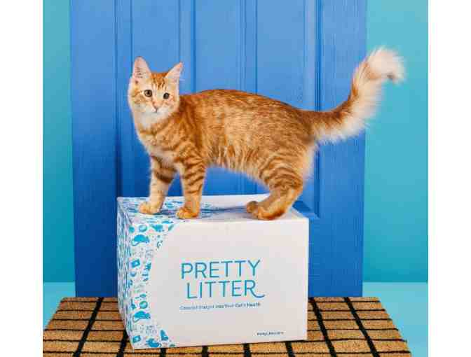 Pretty Litter for Cats