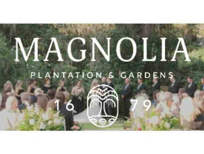 Magnolia Plantation & Gardens - SC - Photo 5