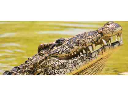 St. Augustine Alligator Farm Zoological Park - FL
