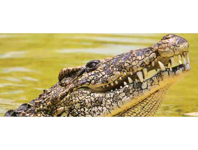 St. Augustine Alligator Farm Zoological Park - FL - Photo 1