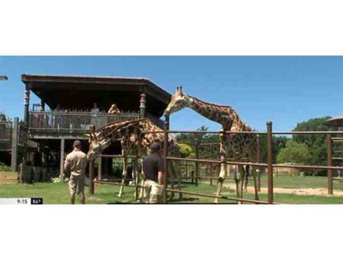 Tulsa Zoo - OK - Photo 3