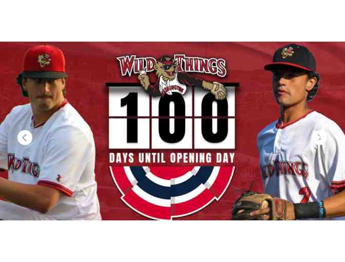 Washington Wild Things - Washington, PA