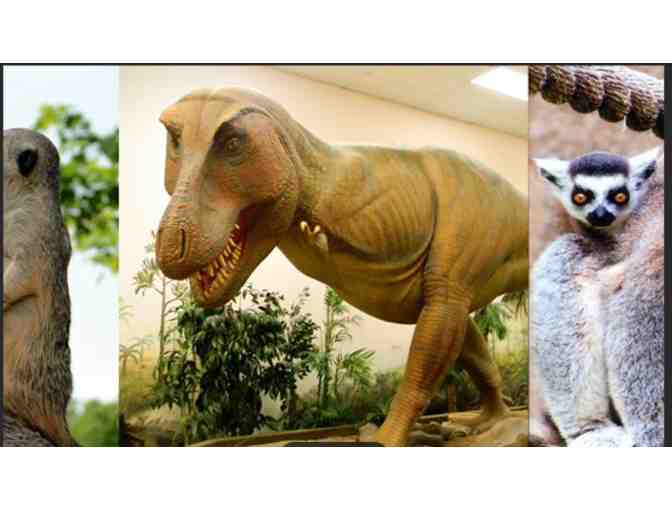 Greensboro Science Center - Greensboro, NC