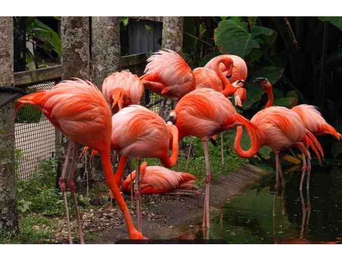 Flamingo Gardens - Davie, FL