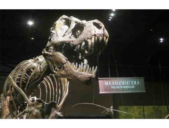 Tellus Museum -Cartersville, GA