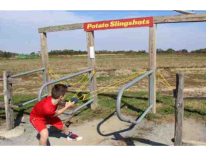 Barnyard Kingdom - Lancaster, PA