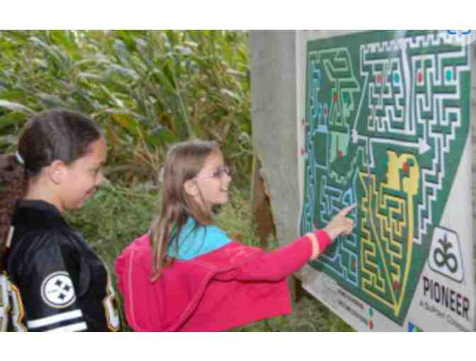 Barnyard Kingdom - Lancaster, PA