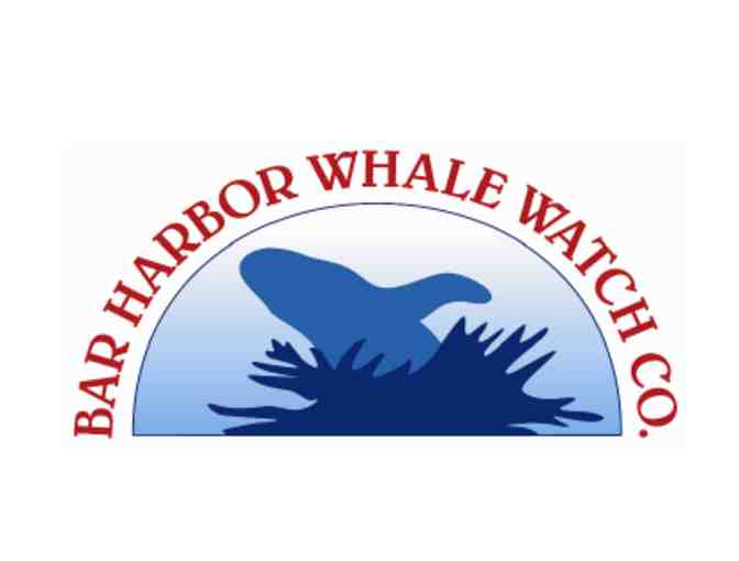 Bar Harbor Whale Watch - Bar Harbor, ME