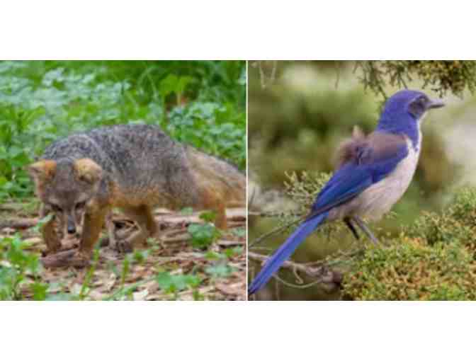 Island Packer Cruises - Ventura, CA