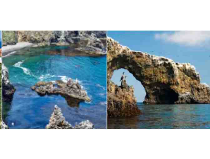 Island Packer Cruises - Ventura, CA