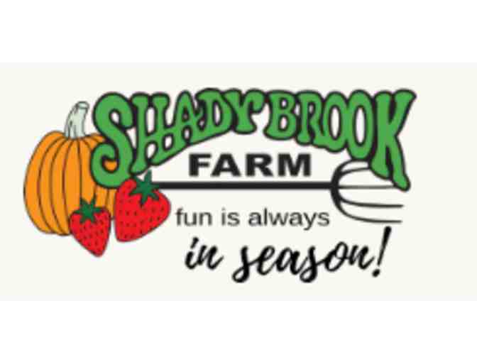 Shady Brook Farm Markets - Yardley, PA