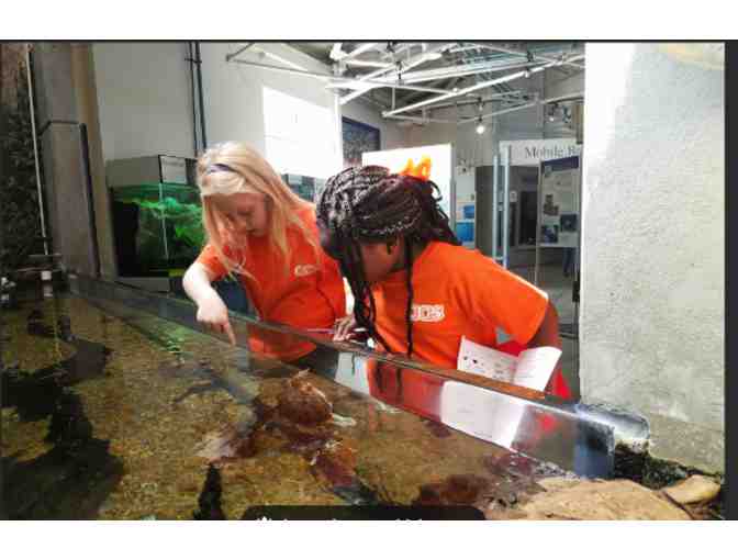 Alabama Aquarium - Dauphin Island Sea Lab - AL